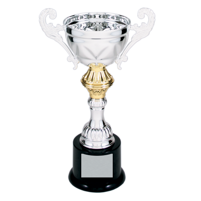 Silver & Gold Metal Corporate Cup Trophy on a Black Marble Base